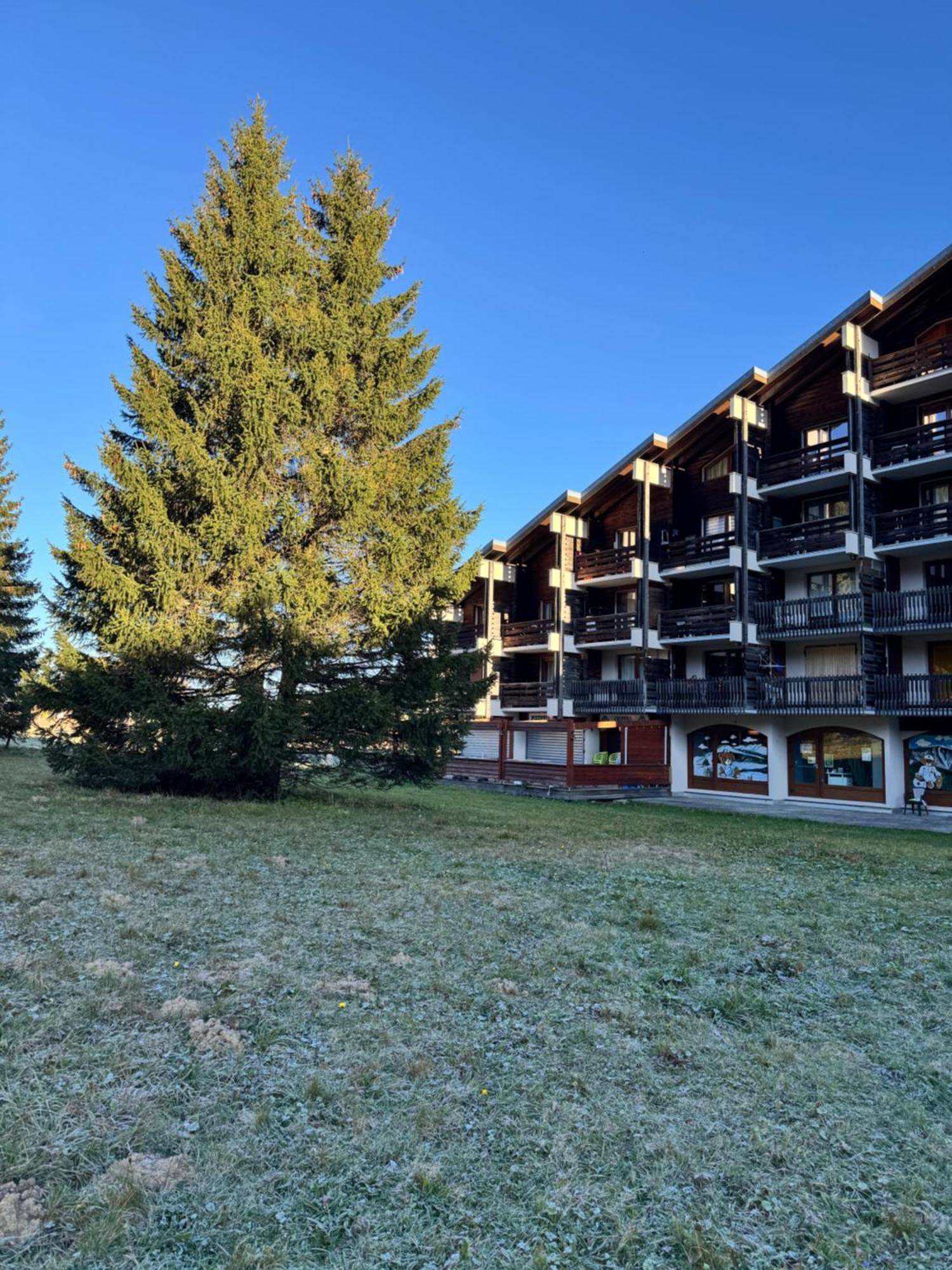 Superbe Studio De Montagne, Au Pied Des Pistes De Ski, Classe 3 Etoiles La Morte エクステリア 写真